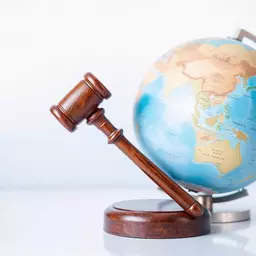 the role of international treaties in extradition cases
